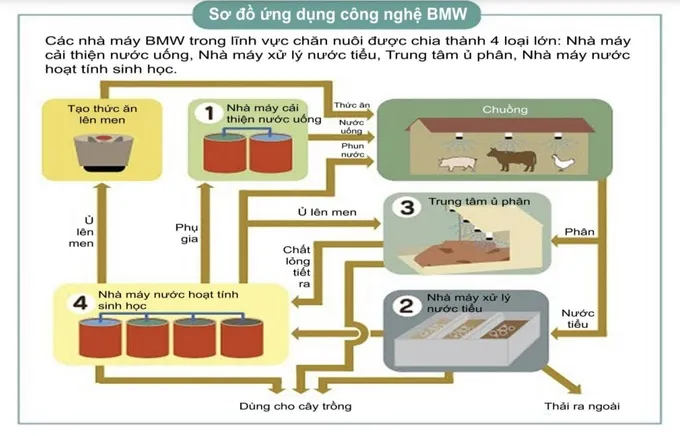 Sơ đồ ứng dụng c&ocirc;ng nghệ BMW