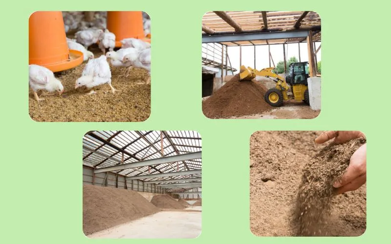 Trung t&acirc;m xử l&yacute; ph&acirc;n compost tại trang trại Yonezawa ứng dụng c&ocirc;ng nghệ BMW Nhật Bản